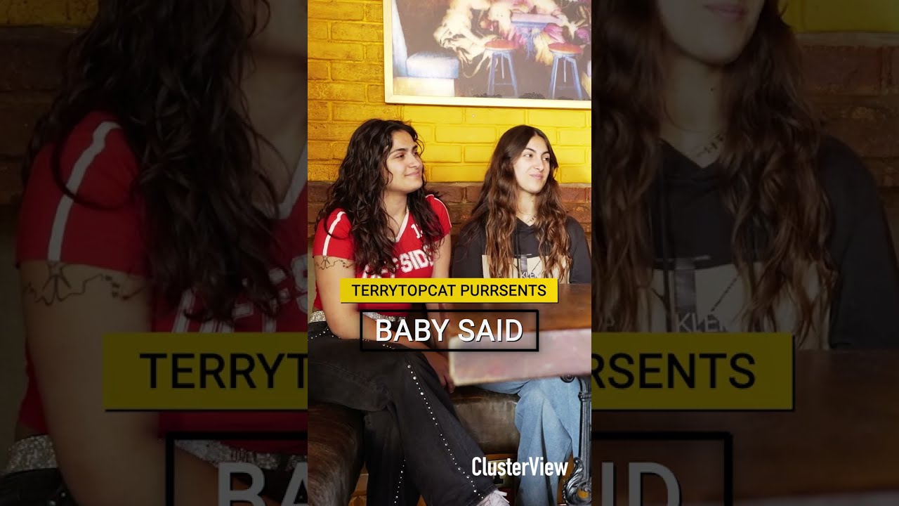 TerryTopCat-Purrsents-Baby-Said-attachment